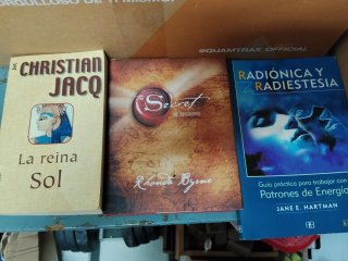 Lote de 30 libros variados misterios novelas magia