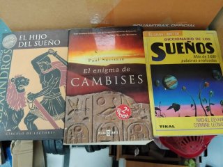 Lote de 30 libros variados misterios novelas magia