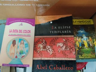 Lote de 30 libros variados misterios novelas magia