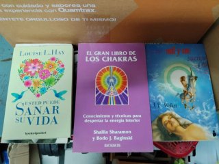 Lote de 30 libros variados misterios novelas magia