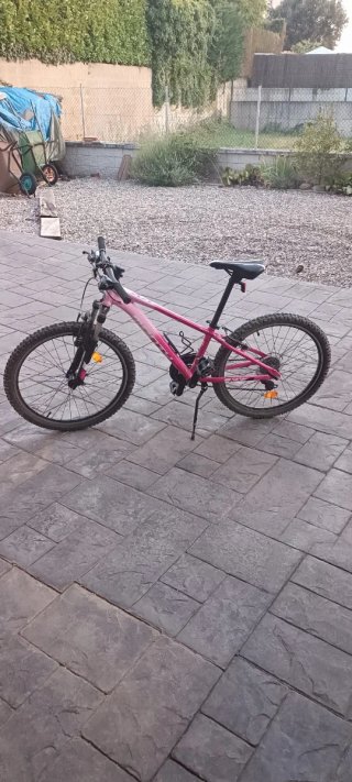 Bicicleta Monty