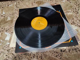 John Denver Some Days Are Diamonds LP 1981