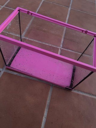 Pecera Kiwoko 15L Rosa