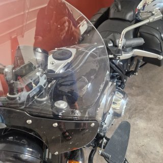 Moto Indian Cruiser Negra