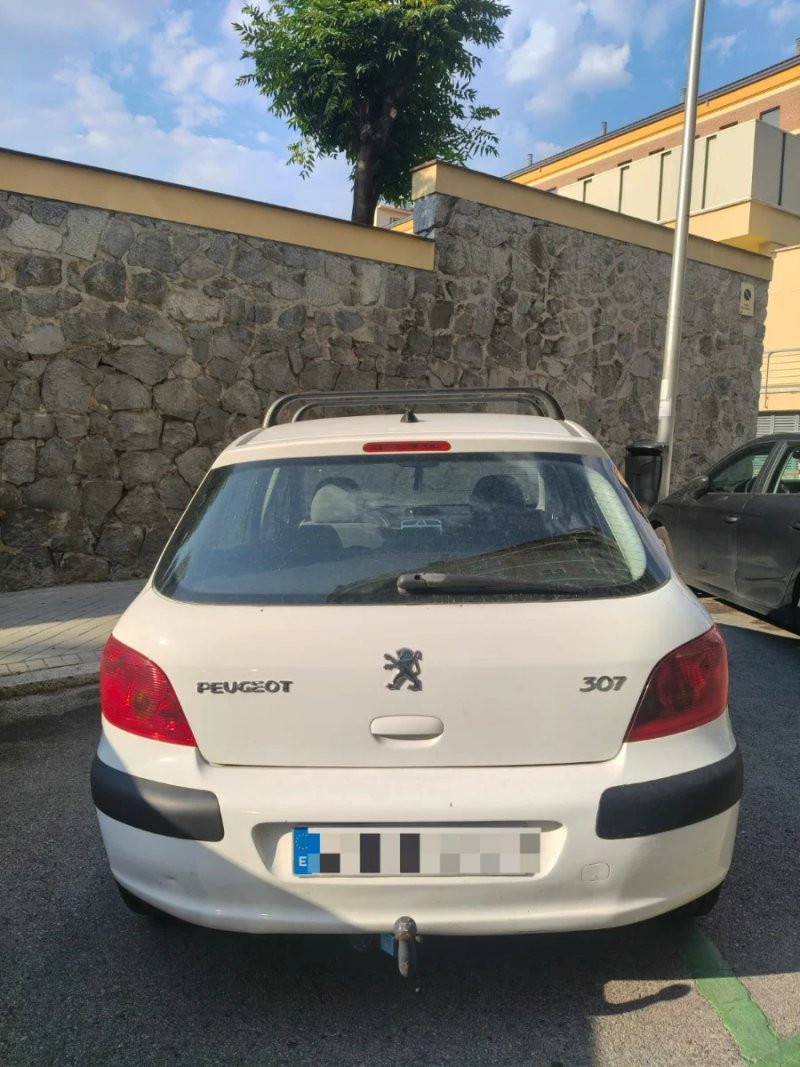 Peugeot 307 1.6i XR Clim Plus 2004, foto 3