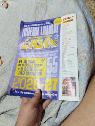 Revista