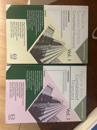 Manual de Contabilidad Financiera Vol. I