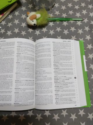 Novo dicionario da lingua galega