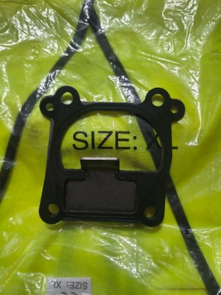 Emulador de válvula EGR para Opel con chapa ciega.
