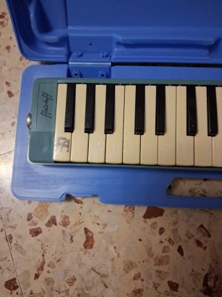 Melodica con custodia rigida