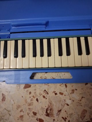 Melodica con custodia rigida