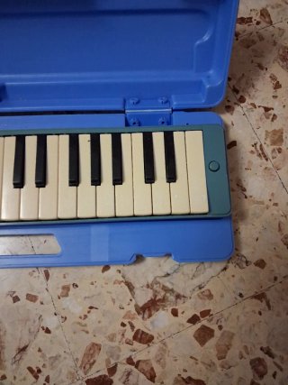 Melodica con custodia rigida