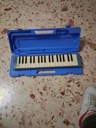 Melodica con custodia rigida