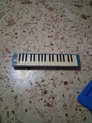 Melodica con custodia rigida