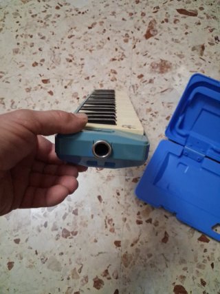Melodica con custodia rigida