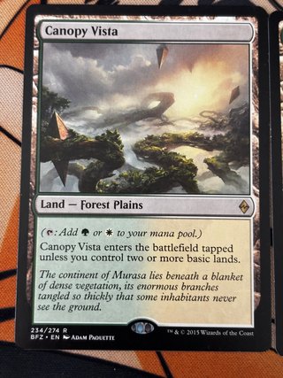 Lote 3 Cartas MTG Panorámica de la enramada