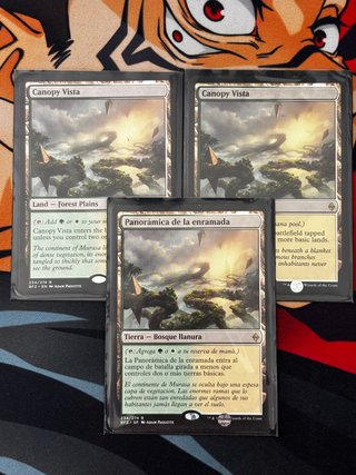 Lote 3 Cartas MTG Panorámica de la enramada