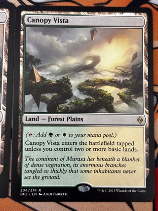 Lote 3 Cartas MTG Panorámica de la enramada