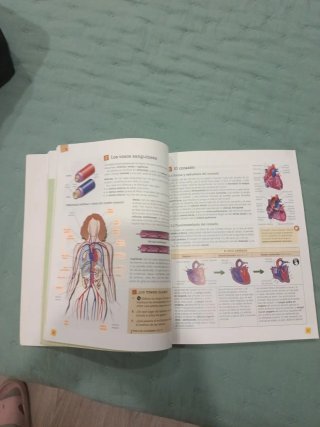Biología y geología 3 ESO