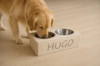 Comedero doble elevado con nombre de mascota