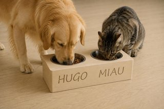 Comedero doble elevado con nombre de mascota