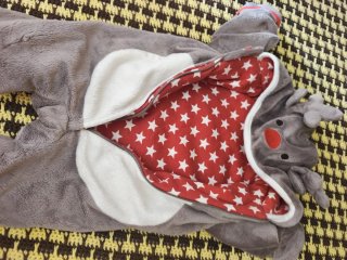 Buzo Mameluco Infantil Gris