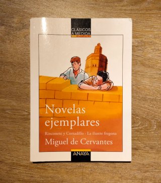 Novelas ejemplares de Miguel de Cervantes