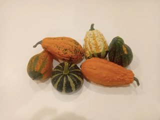 Seis calabacitas ornamentales decorativas