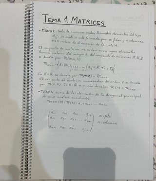 Apuntes y ejercicios resueltos Algebra Lineal UPM