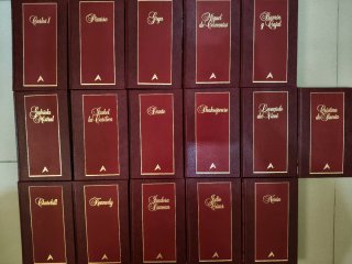 Lote libros/ dvds 2 x 1. (1)