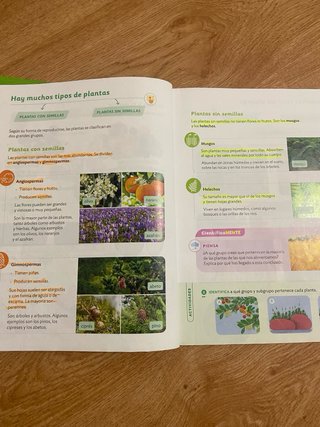 Ciencias de la Naturaleza, 4 Primaria, Proyecto...