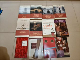 Lote libros/dvds 2 x 1. (2)