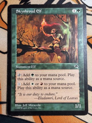 Lote 2 Cartas MTG Skyshroud Elf (Tempest)