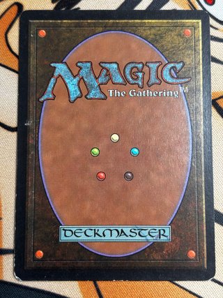 Lote 2 Cartas MTG Skyshroud Elf (Tempest)