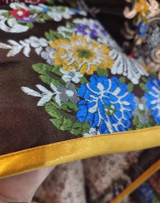 Traje Regional Dorado y Multicolor