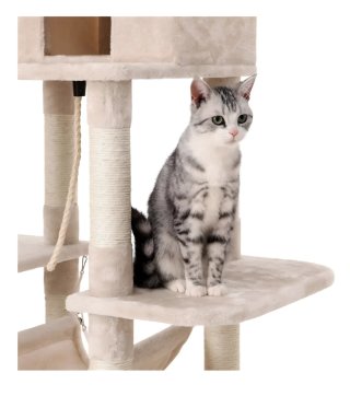 Árbol para Gatos Feandrea