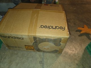 Árbol para Gatos Feandrea