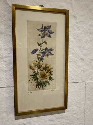 Grabado original Botánico Antiguo con Marco Dorado