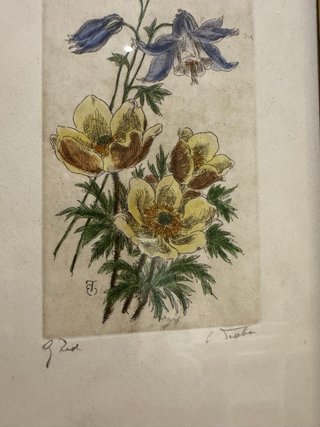 Grabado original Botánico Antiguo con Marco Dorado