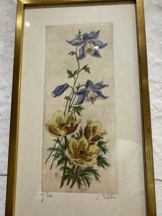 Grabado original Botánico Antiguo con Marco Dorado