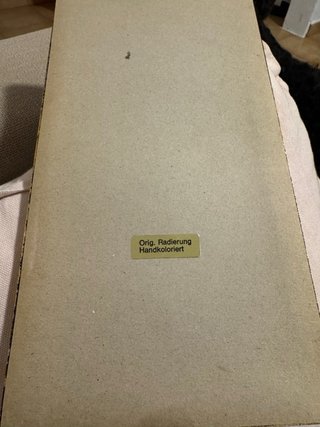Grabado original Botánico Antiguo con Marco Dorado