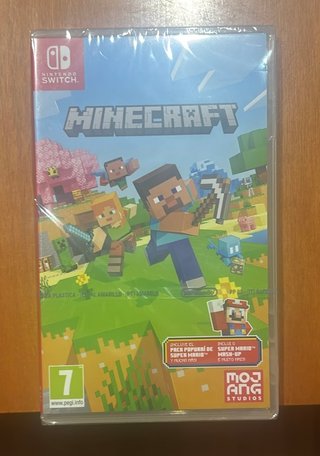 Minecraft Nintendo Switch