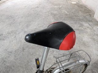 Bicicleta Plegable Easy bike 3