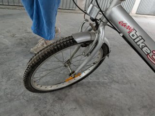 Bicicleta Plegable Easy bike 3