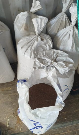 10 kilos de Semilla de Alfalfa