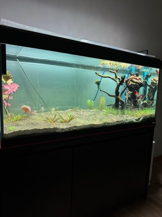 Acuario Fluval Roma 240