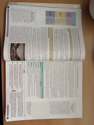 Historia de la Filosofía, 2 Bachillerato, Genio...