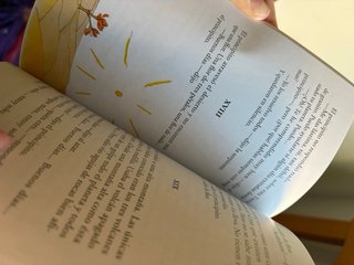 El Principito / The Little Prince