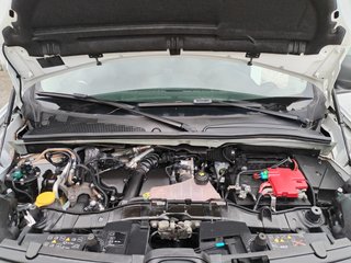 Renault Kangoo 2019-1.5DCI-"C" Verde-IVA INCLUIDO