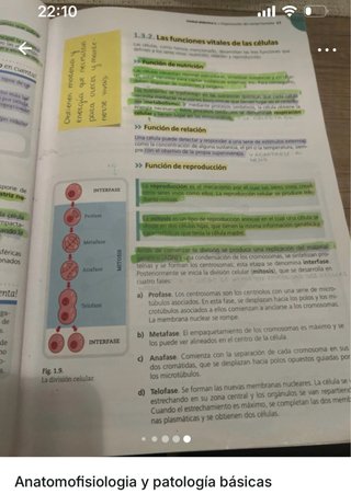 Vendo libro de Anatomofisiologia y patología básic